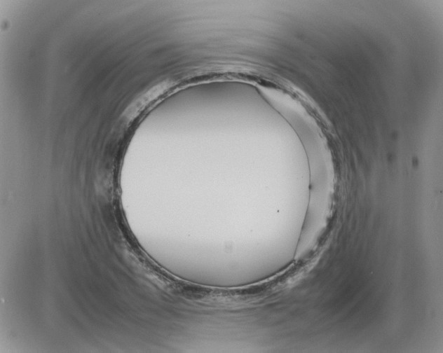 X0000086040977200704202007