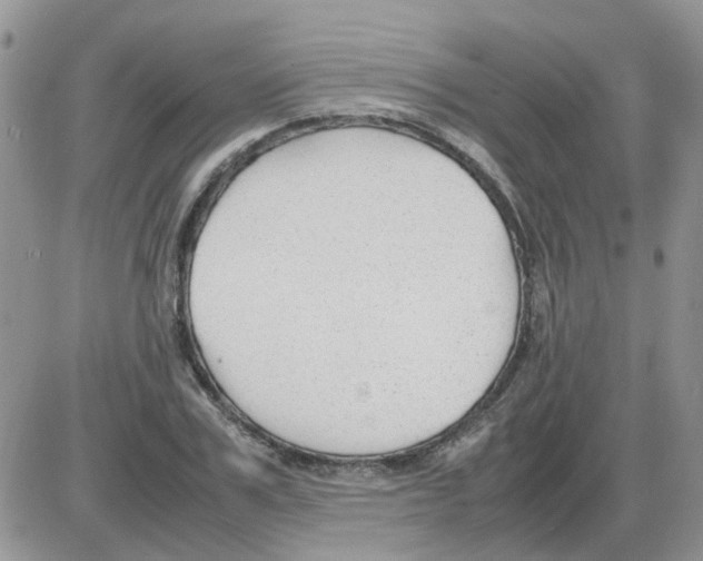 X0000086040979200704202007