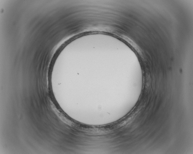 X0000086040980200704202007