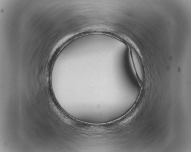 X0000086040981200704202007