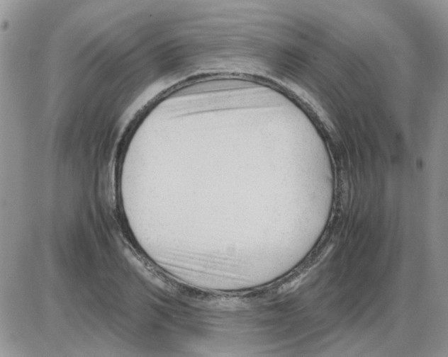 X0000086040982200704202007