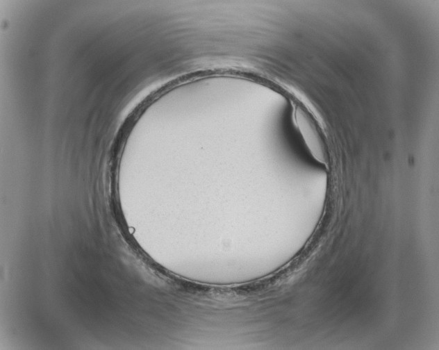 X0000086040983200704202007