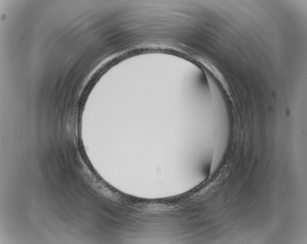 X0000086040984200704202007