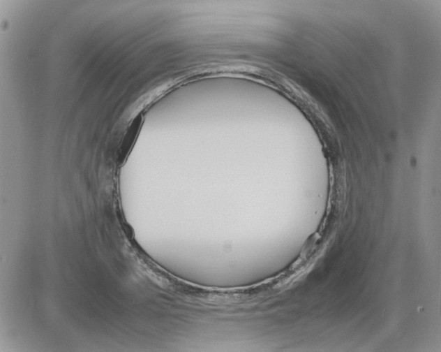 X0000086040985200704202007