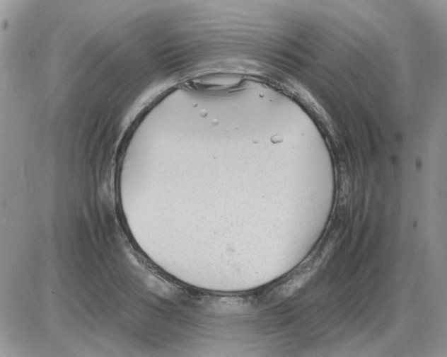 X0000086040986200704202007