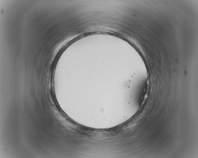 X0000086040987200704202007