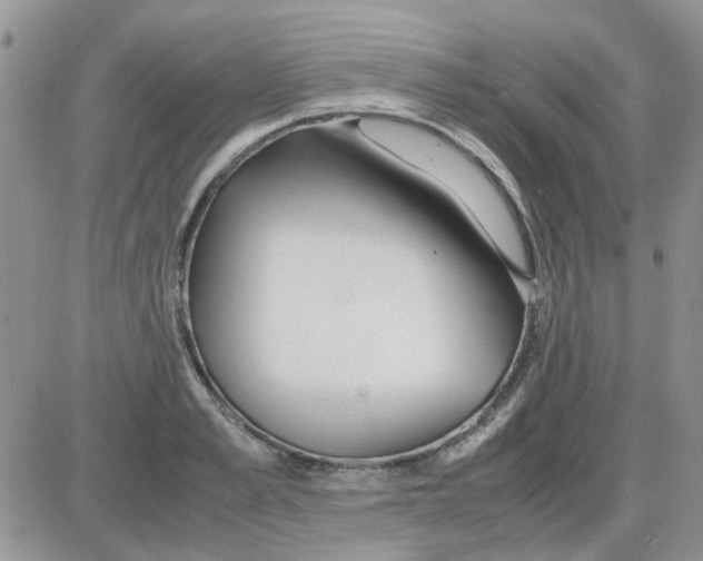 X0000086040989200704202006