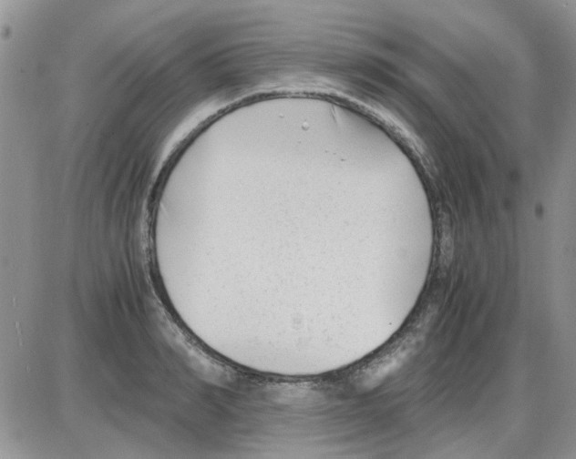 X0000086040990200704202006