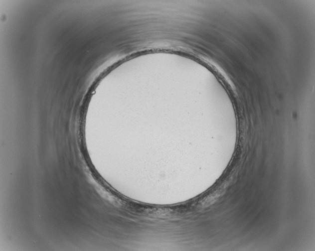 X0000086040991200704202006