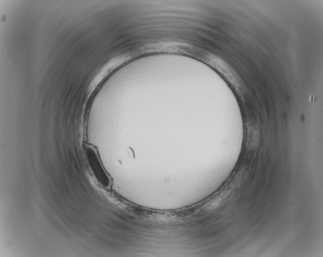 X0000086040994200704202006