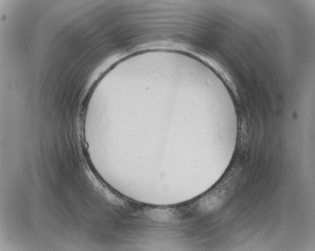 X0000086040998200704202006