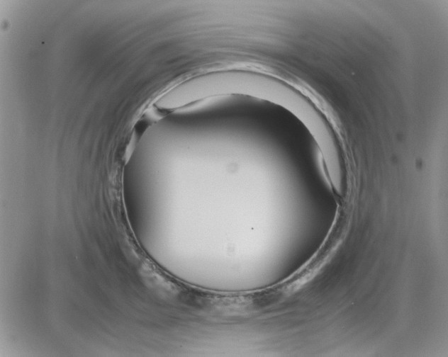 X0000086041001200704202006