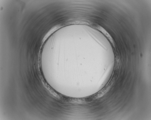 X0000086041002200704202006