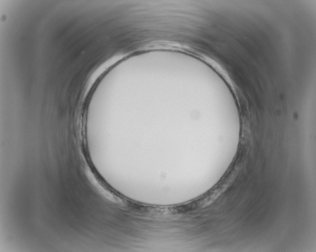 X0000086041003200704202006