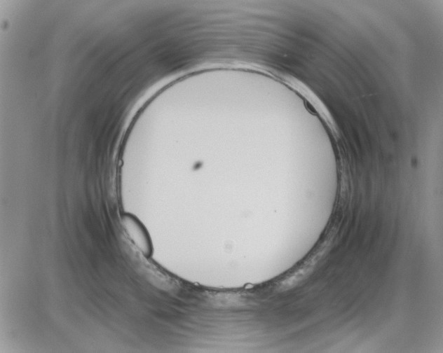 X0000086041004200704202006