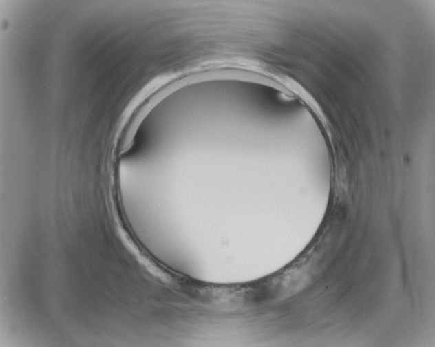 X0000086041005200704202006