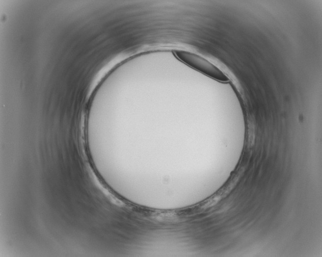 X0000086041006200704202006