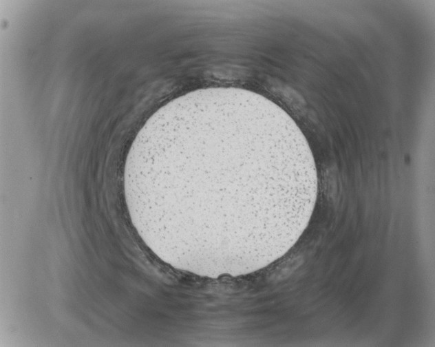 X0000086041009200704202005