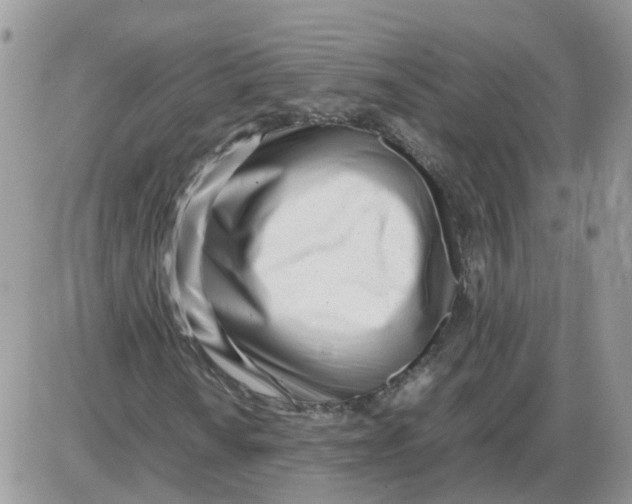 X0000086041010200704202005