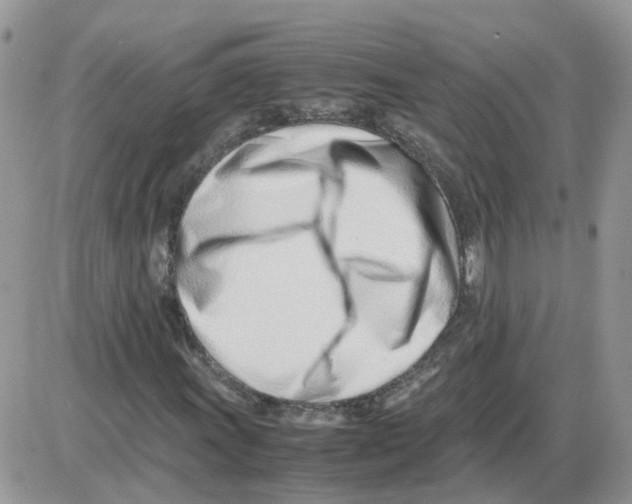 X0000086041011200704202005