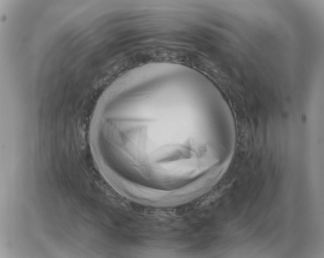 X0000086041013200704202005