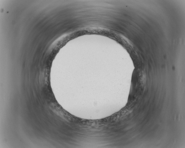 X0000086041016200704202006