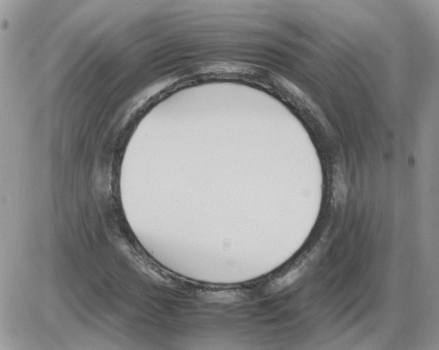 X0000086041017200704202006