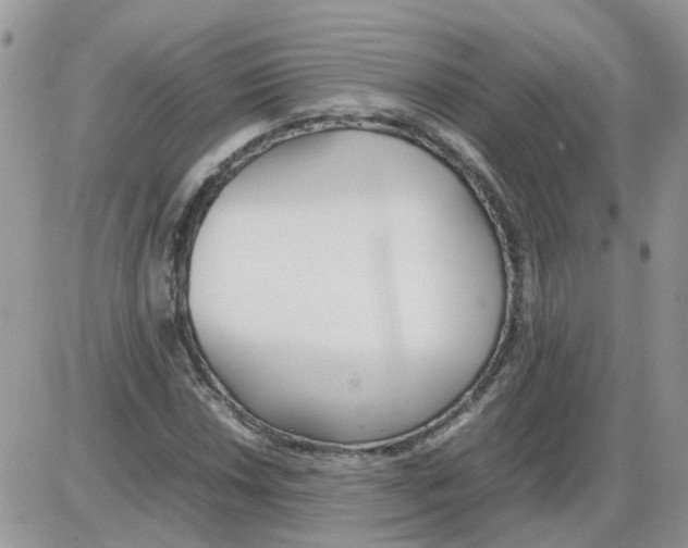 X0000086041018200704202006