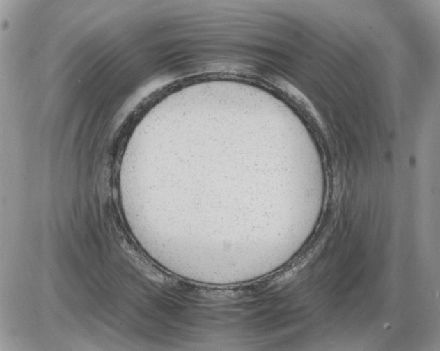 X0000086041019200704202006