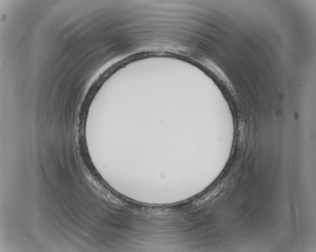 X0000086041020200704202006