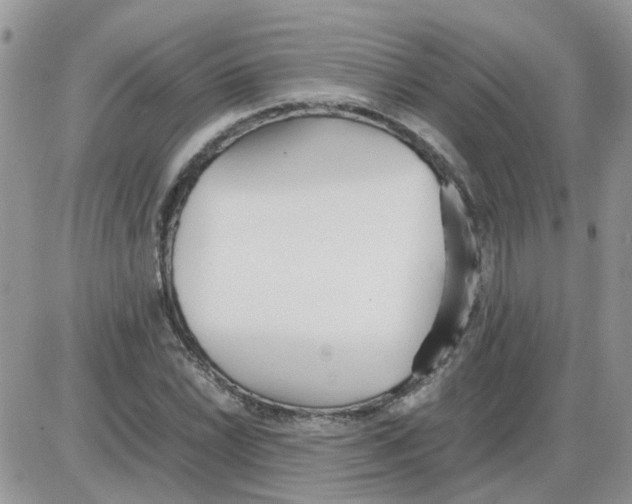 X0000086041022200704202006