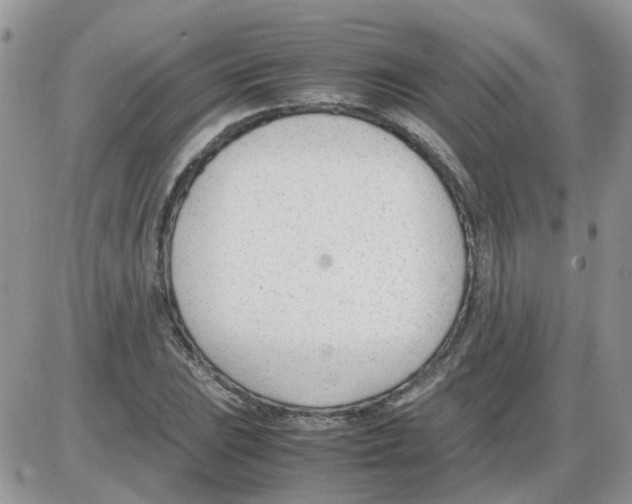 X0000086041023200704202006