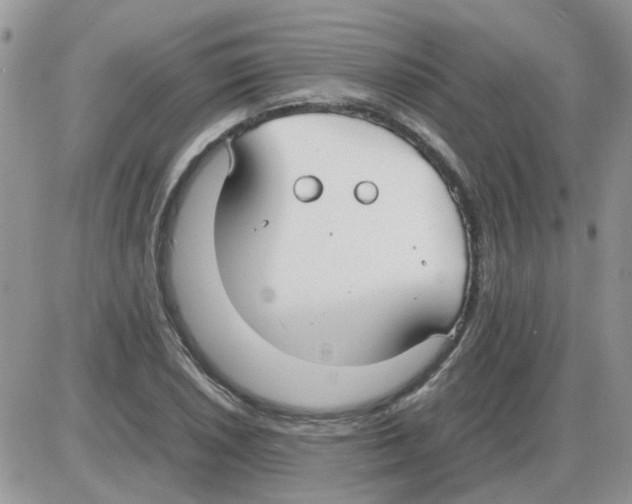 X0000086041026200704202006