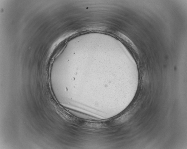 X0000086041027200704202006