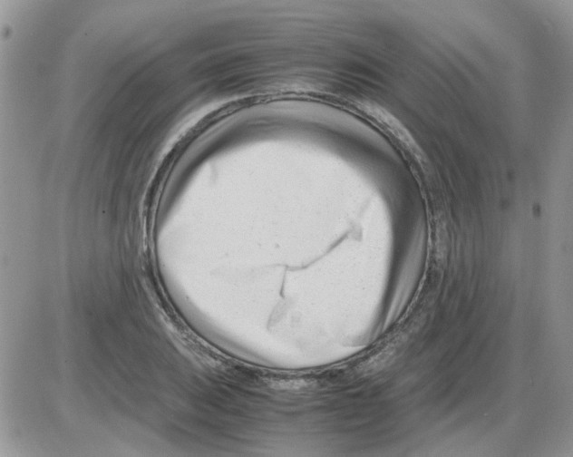 X0000086041031200704202006