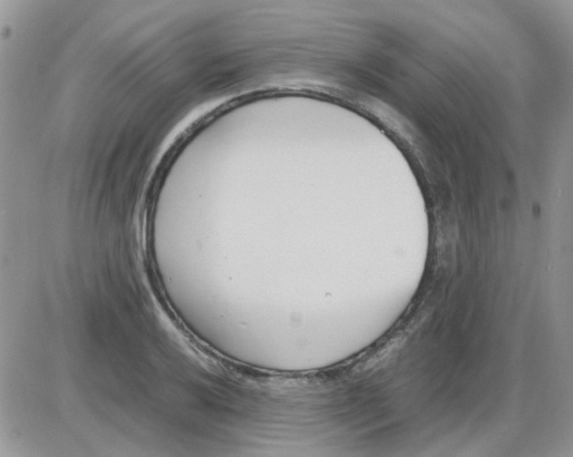 X0000086041032200704202006