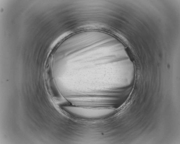 X0000086041034200704202006