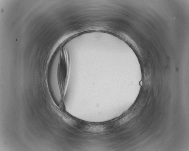 X0000086041035200704202006