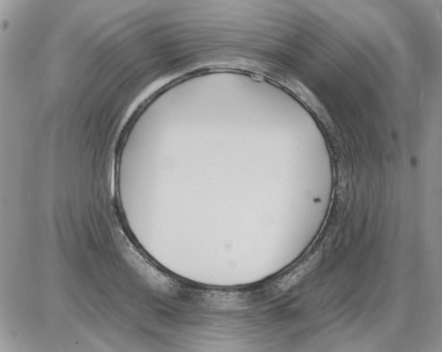 X0000086041036200704202006