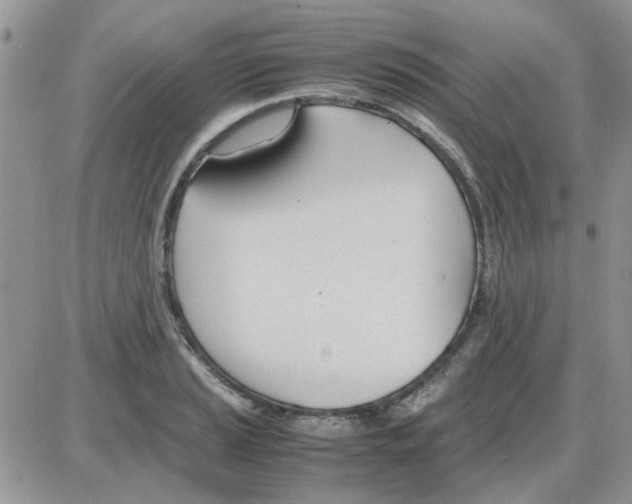 X0000086041037200704202006