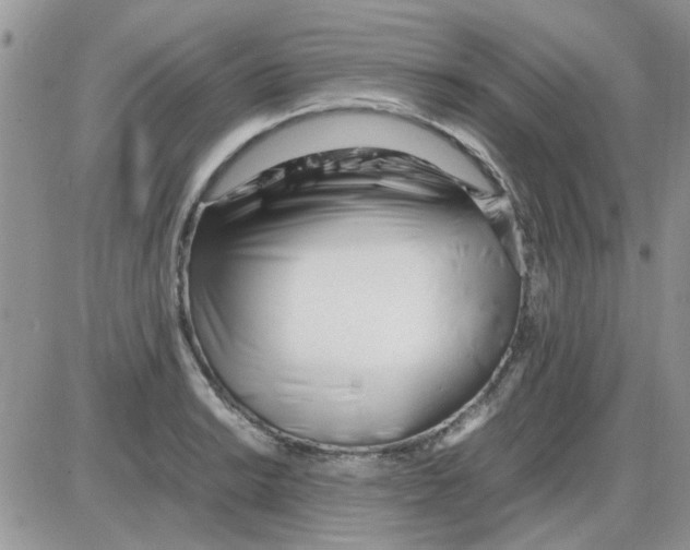 X0000086041038200704202006