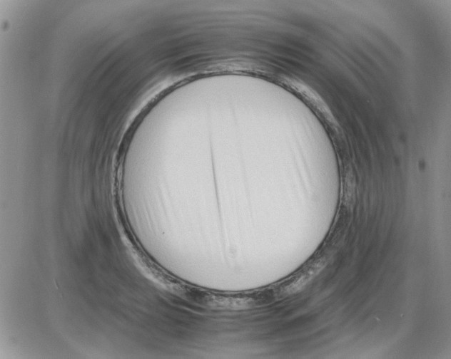 X0000086041039200704202006