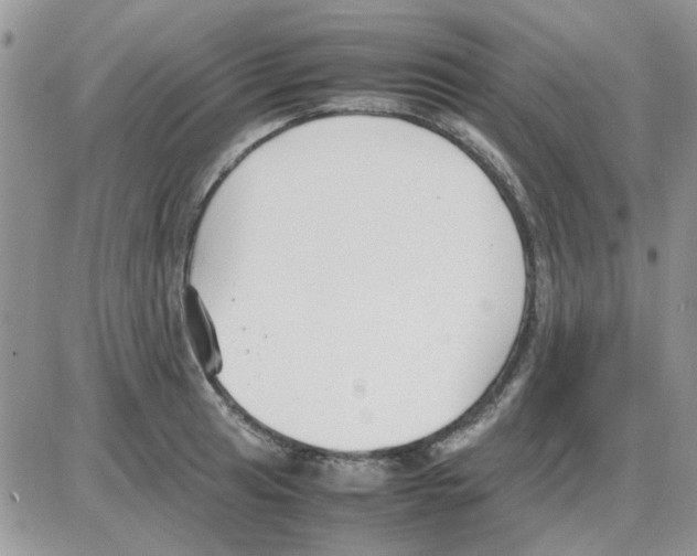 X0000086041041200704202006