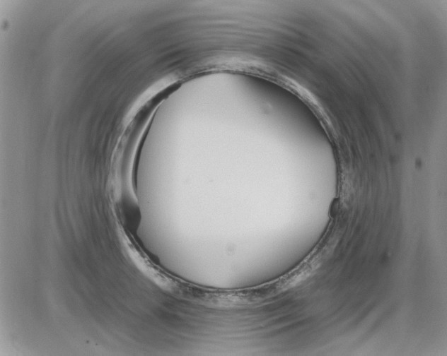 X0000086041042200704202006