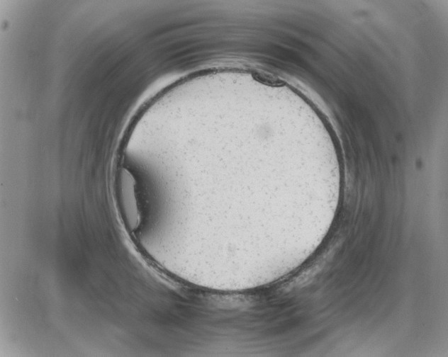 X0000086041045200704202006