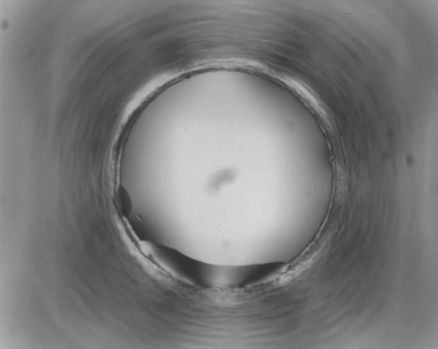 X0000086041046200704202006