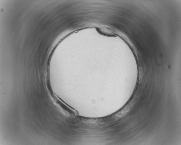 X0000086041048200704202006