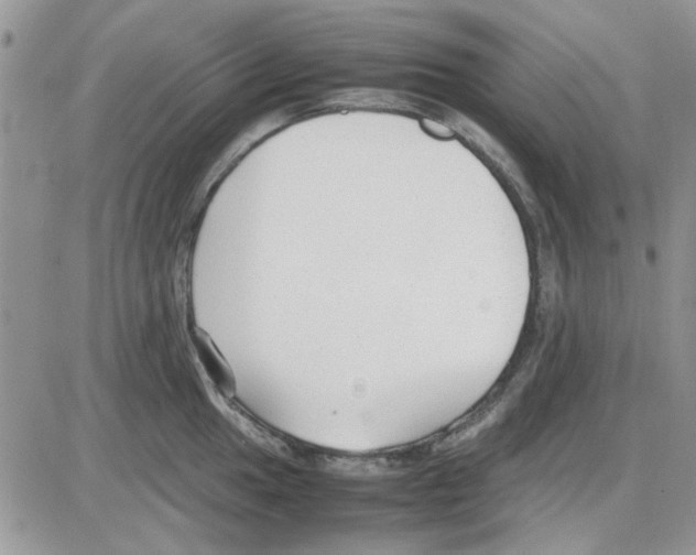 X0000086041049200704202006