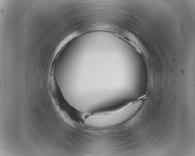 X0000086041050200704202006