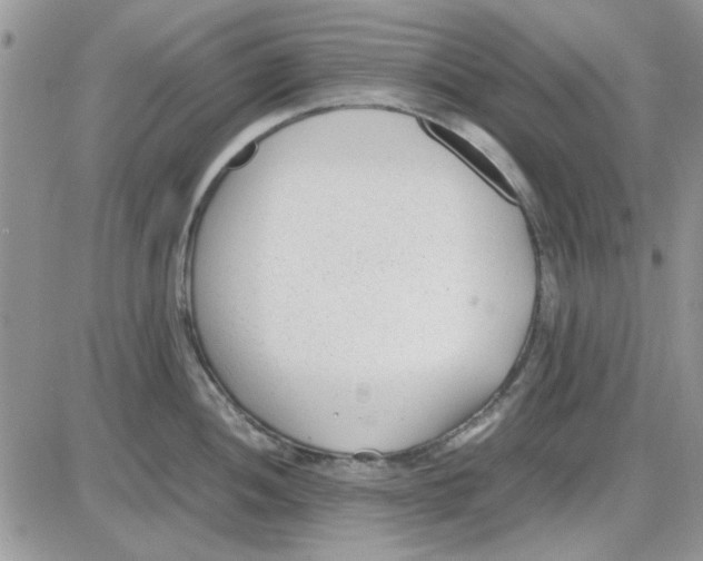 X0000086041052200704202006